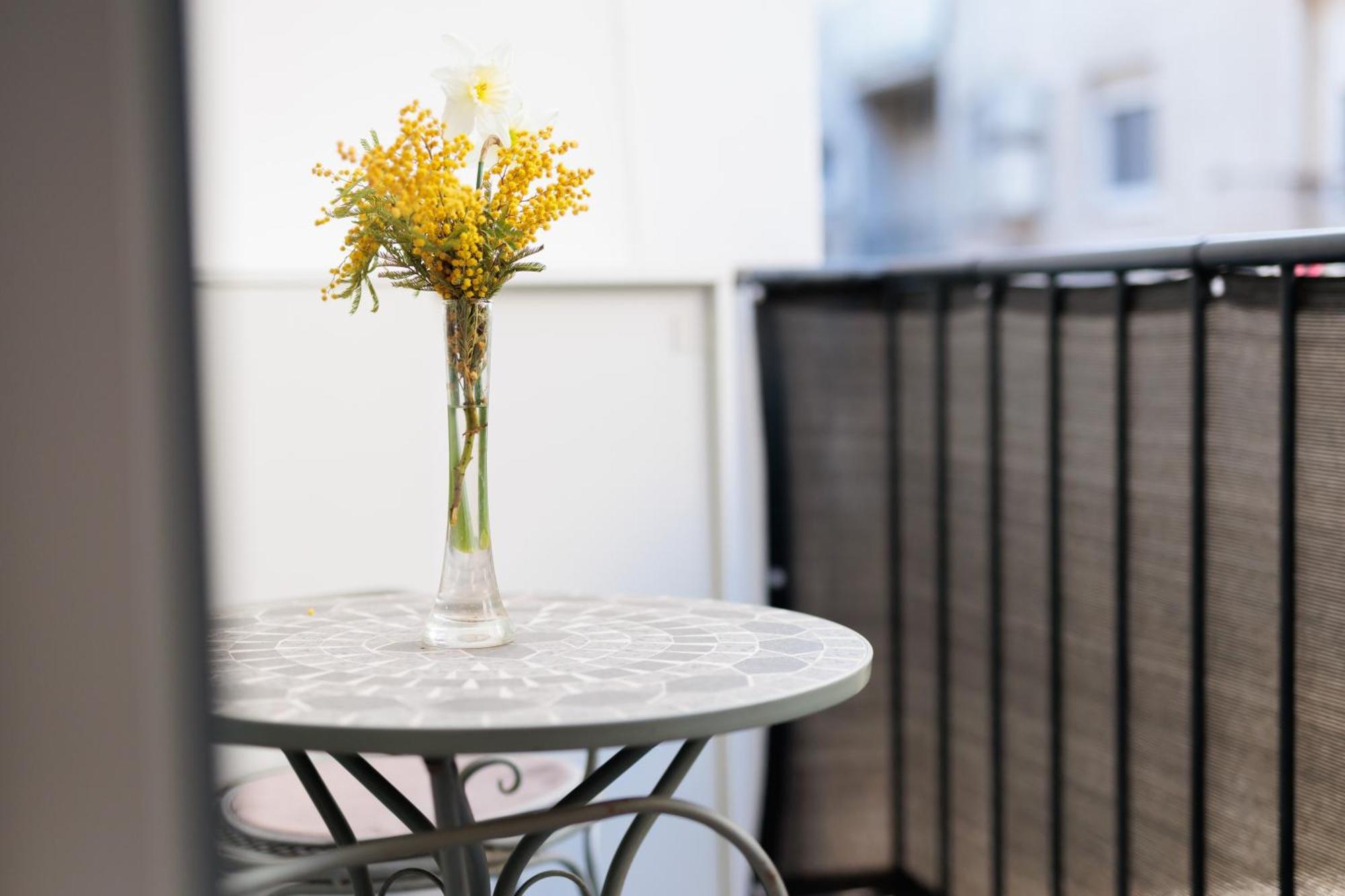 Zarina - Old Town Center Apartman Zadar